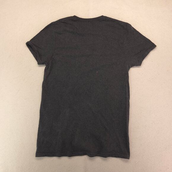 Pink Floyd The Dark Side of the Moon Band Graphic T Shirt Adult Mens Size S Gray - Picture 9 of 9